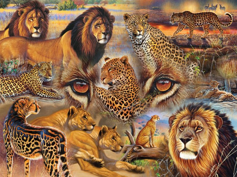 puzzle 116 big cats