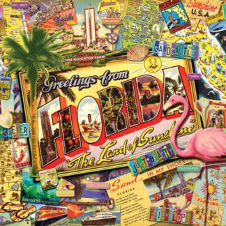 Florida 1000pc Puzzle By Sunsout 70021