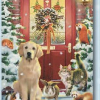 Animals At The Door Box Of 10 Cards By Leanin Tree Xmxms