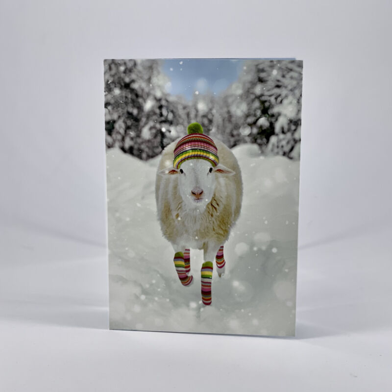 Christmas Card Wishing Ewe A Merry Christmas And A Wooly Happy New Year