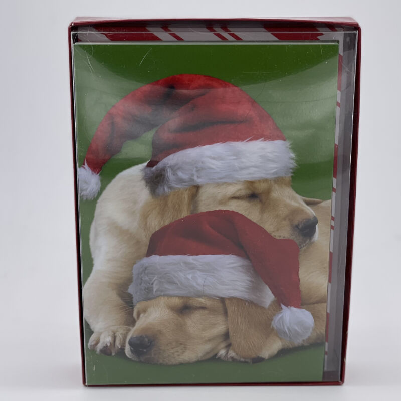 Christmas Puppies Boxed Christmas Cards By Leanin Tree C75457