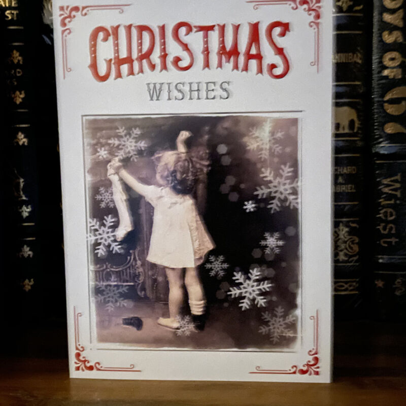 Christmas Wishes By Leanin Tree Boxed Christmas Cards 2