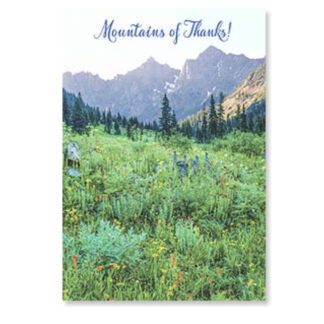 Thank You Appreciation Card Mountains Of Thanks 2