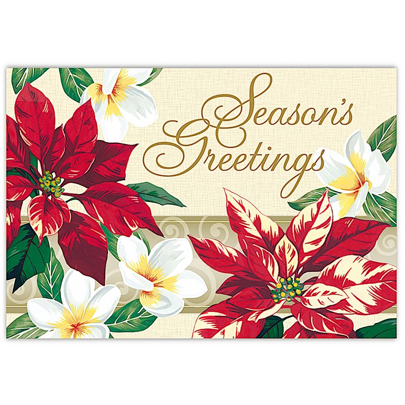 Festive Plumeria Boxed Christmas Cards 62978000