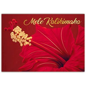 Red Hibiscus Boxed Christmas Cards By Island Heritage 62980000