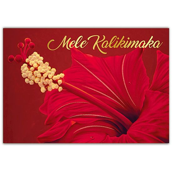 Red Hibiscus Boxed Christmas Cards by Island Heritage (62980000)